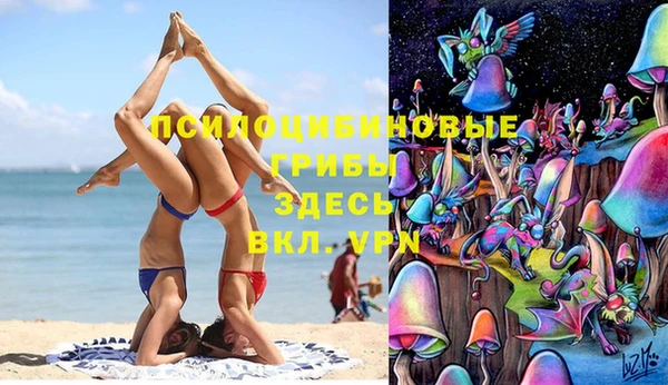 дмт Балахна